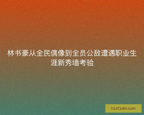 林书豪从全民偶像到全员公敌遭遇职业生涯新秀墙考验 林书豪从全民偶像到全员公敌遭遇职业生涯新秀墙考验