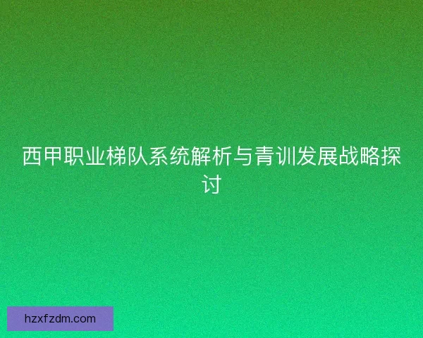 西甲职业梯队系统解析与青训发展战略探讨